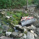 ���� ����, ������ - ��������� 6 �������� 2013 � ������ ��.����