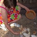 ���� �����, �������, 48 ��� - ��������� 5 ������� 2013 � ������ ���������