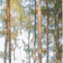 ���� �����, �����-���������, 45 ��� - ��������� 1 ������� 2013 � ������ ���� ����������