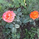 ���� ������, ������������ - ��������� 6 ����� 2014 � ������ ������ ��������