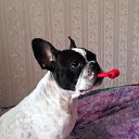 ���� �����, �������, 49 ��� - ��������� 25 �������� 2013 � ������ ����