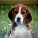 ϸ���.������� 2014�. �� ������� ���������