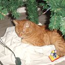 ����� ����� ���� ������� ����� ��� ������ �� ������� ���������