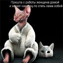 ���� K�����, ������, 45 ��� - ��������� 24 ������ 2013 � ������ ���� ����������