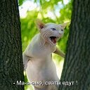 ���� �����, ����-��������� - ��������� 1 ������� 2014 � ������ ���� ����������