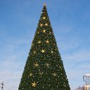  , , 46  -  15  2014    2014