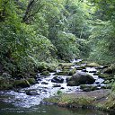 ���� ��������, ������, 54 ���� - ��������� 20 ������ 2013