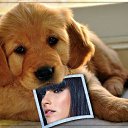 ���� ����, ������, 48 ��� - ��������� 12 ����� 2014 � ������ ���� ����������