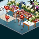 ���� �����, ������ - ��������� 2 �������� 2013 � ������ �Tropikania�