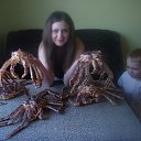 ���� ����, �������, 38 ��� - ��������� 30 ������ 2014 � ������ ���� ����������