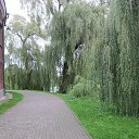 ���� ������, �����, 57 ��� - ��������� 24 �������� 2013 � ������ ���� ����������