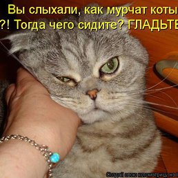 ���� ����, ������ ��������, 44 ���� - ��������� 20 ������ 2014