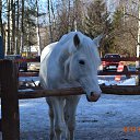 ����������. �� ������� ������ ��������