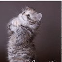 ���� �, ������� (���������� �/�) - ��������� 3 ����� 2014 � ������ ������ ��������