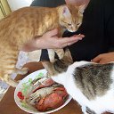 �������� ���������... �� ������� ���� �������� � ������ �����...�