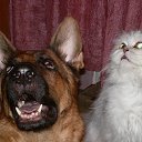 ���� �����, �����, 60 ��� - ��������� 25 ������� 2014 � ������ ������ ��������