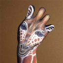 ���� �����, ������� - ��������� 27 �������� 2013 � ������ ���� ����������