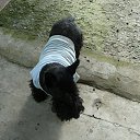 ���� ������, �����-��������� - ��������� 22 �������� 2013 � ������ ���������