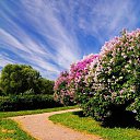  Loseff Yurij, , 63  -  30  2013    