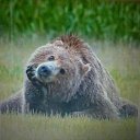 �������.������� 2013�. �� ������� ���������