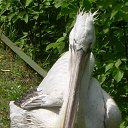 ���������� ������� �� ������� ���� ����������