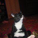 ���� ������, �����-�������� - ��������� 26 ������� 2013 � ������ ����� ��� ������������