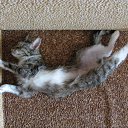 ���� �����, ������� - ��������� 3 ����� 2014 � ������ ���� ����������