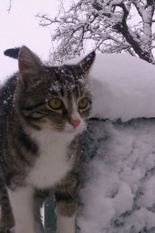  : ,  :  !   ,  ! - , 72 , --