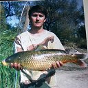 ���� ������ �-a, ������, 53 ���� - ��������� 26 ������ 2014 � ������ ���� ����������