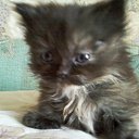 ���� ������, ���������, 53 ���� - ��������� 19 ������ 2014 � ������ ������