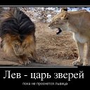 ���� Nataliia, �������, 40 ��� - ��������� 16 ������� 2013 � ������ ���� ����������