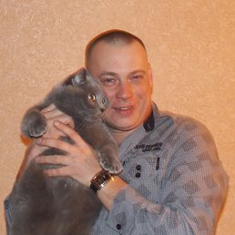 ���� �����, ���������, 46 ��� - ��������� 18 �������� 2013