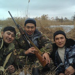 �����, ���������, 44 ����