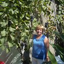 �������� � �
