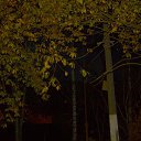 ���� ��������, �����-���������, 37 ��� - ��������� 21 ������� 2013 � ������ �������������