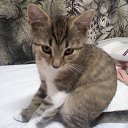 ���� Ludvik, ����-���-�����, 69 ��� - ��������� 27 ������ 2014 � ������ ������ ��������