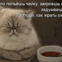 ���� ������, ���������, 43 ���� - ��������� 9 ������� 2014 � ������ ��-��!�