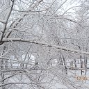 ���� ������, �������������� - ��������� 12 ������ 2014 � ������ ���� ����������