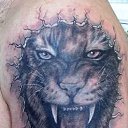 ���� ��������� (�����), �������, 52 ���� - ��������� 7 ����� 2014 � ������ ������ ��������