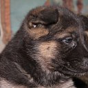 ���� ������, ������� - ��������� 16 ������� 2013