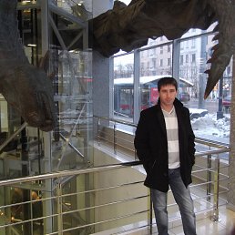 ���� �������, ��������, 49 ��� - ��������� 20 ������� 2013