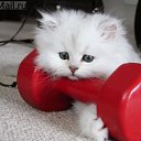 ���� �����, ������, 53 ���� - ��������� 2 �������� 2013 � ������ ������ ��������