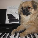 ���� ���������, ������ - ��������� 25 ������� 2013 � ������ ���� ����������