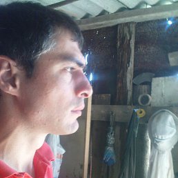 �����, ������, 44 ����