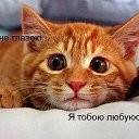 ���� ��������, ������� - ��������� 9 ����� 2014 � ������ ������ ��������