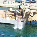 ���� Anatolij, �����, 74 ���� - ��������� 13 ������� 2013 � ������ ������ 2013�