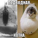 ���� �������, ������, 39 ��� - ��������� 9 ������ 2013 � ������ ������ ��������