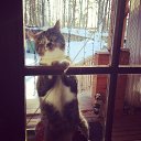 ���� ����, ������, 29 ��� - ��������� 16 ������� 2013 � ������ ���� ����������