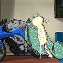 ���� ����, ��������, 43 ���� - ��������� 12 ������� 2013 � ������ ���� ����������