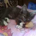 ���� �������, ������, 44 ���� - ��������� 25 ������ 2014 � ������ ���������� ������